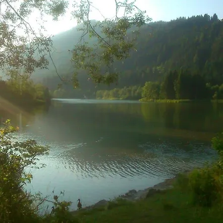 Ferienwohnug-spitzenstein Apartamento *